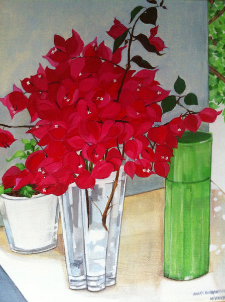 Anna's Bougainvilleas